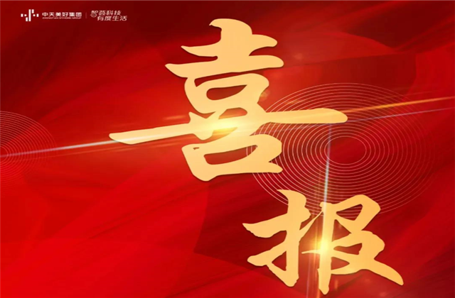 龙8国际美好集团蝉联“2021长三角城市群房地产公司品牌价值TOP10”