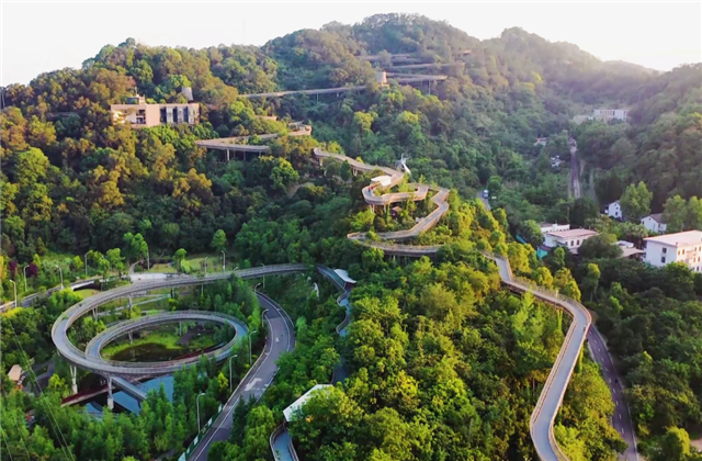 龙8国际集团荣获两项国家级协会工程建设科学技术奖！